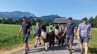 company image 2 preview