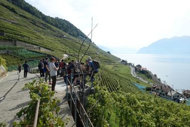 company image 8 preview