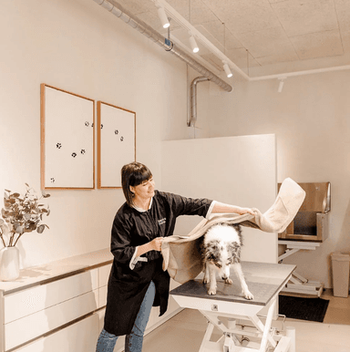 company image 6 preview