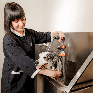 company image 5 preview